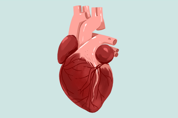 ��п�����ʱ�� ��п��ʲô����